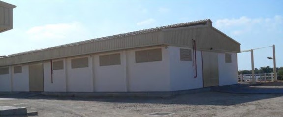 Sir Baniyas Stables gallery image 1