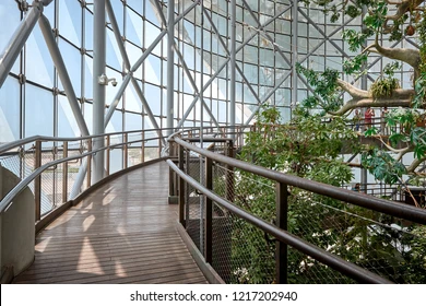 Living Planet Dubai UAE gallery image 3